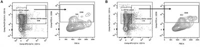 Endothelial Cell CD36 Reduces Atherosclerosis and Controls Systemic Metabolism